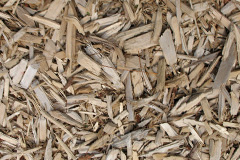 biomass boilers Gwaenysgor